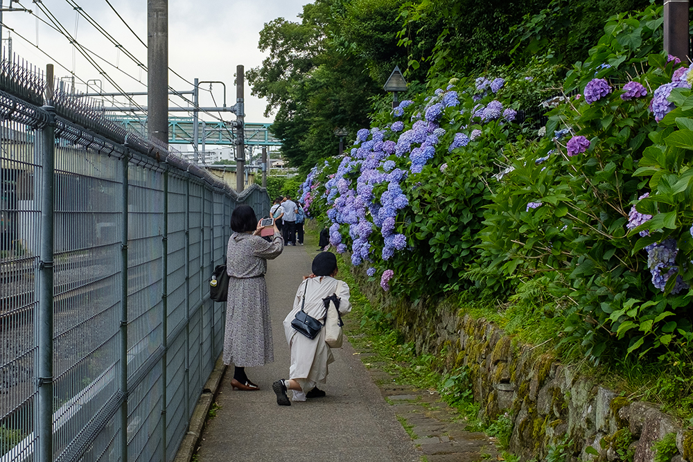 飛鳥山公園の写真