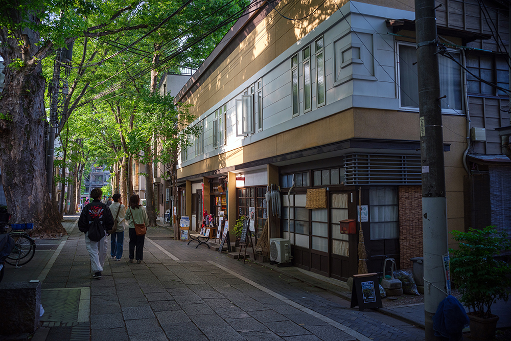 x100viで撮った雑司ヶ谷の写真