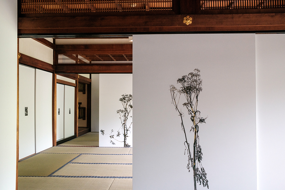 x100viで撮った京都グラフィーの写真